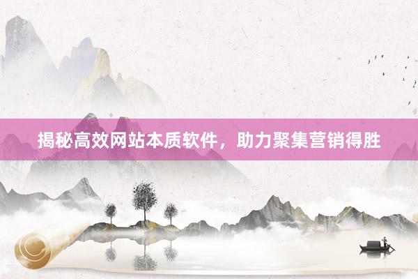 揭秘高效网站本质软件，助力聚集营销得胜