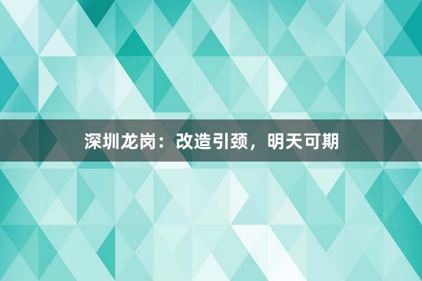 深圳龙岗：改造引颈，明天可期