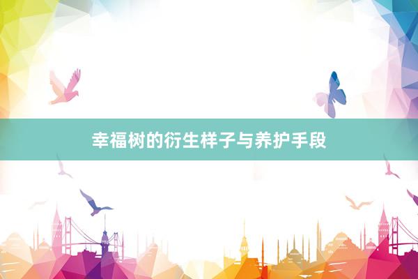 幸福树的衍生样子与养护手段